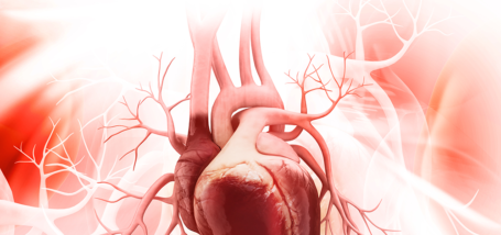 Image for coronary artery Tag